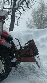 verricello forestale 