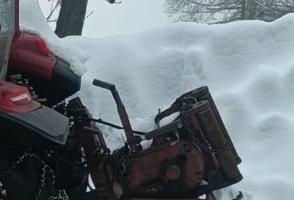 verricello forestale 