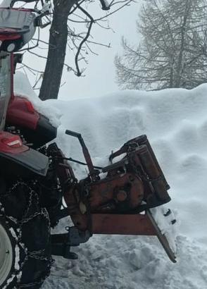 verricello forestale 