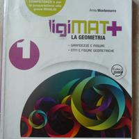 "Digimat +1" di A. Montemurro libro matematica