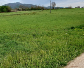 Terreno agricolo