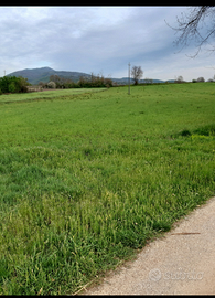 Terreno agricolo