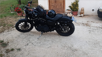 Harley-Davidson 883 xl