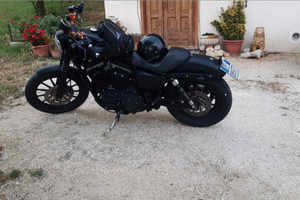 Harley-Davidson 883 xl