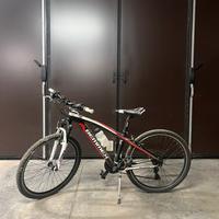 Bicicletta ragazzo Bemmex