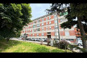 Ampio bilocale a Meda