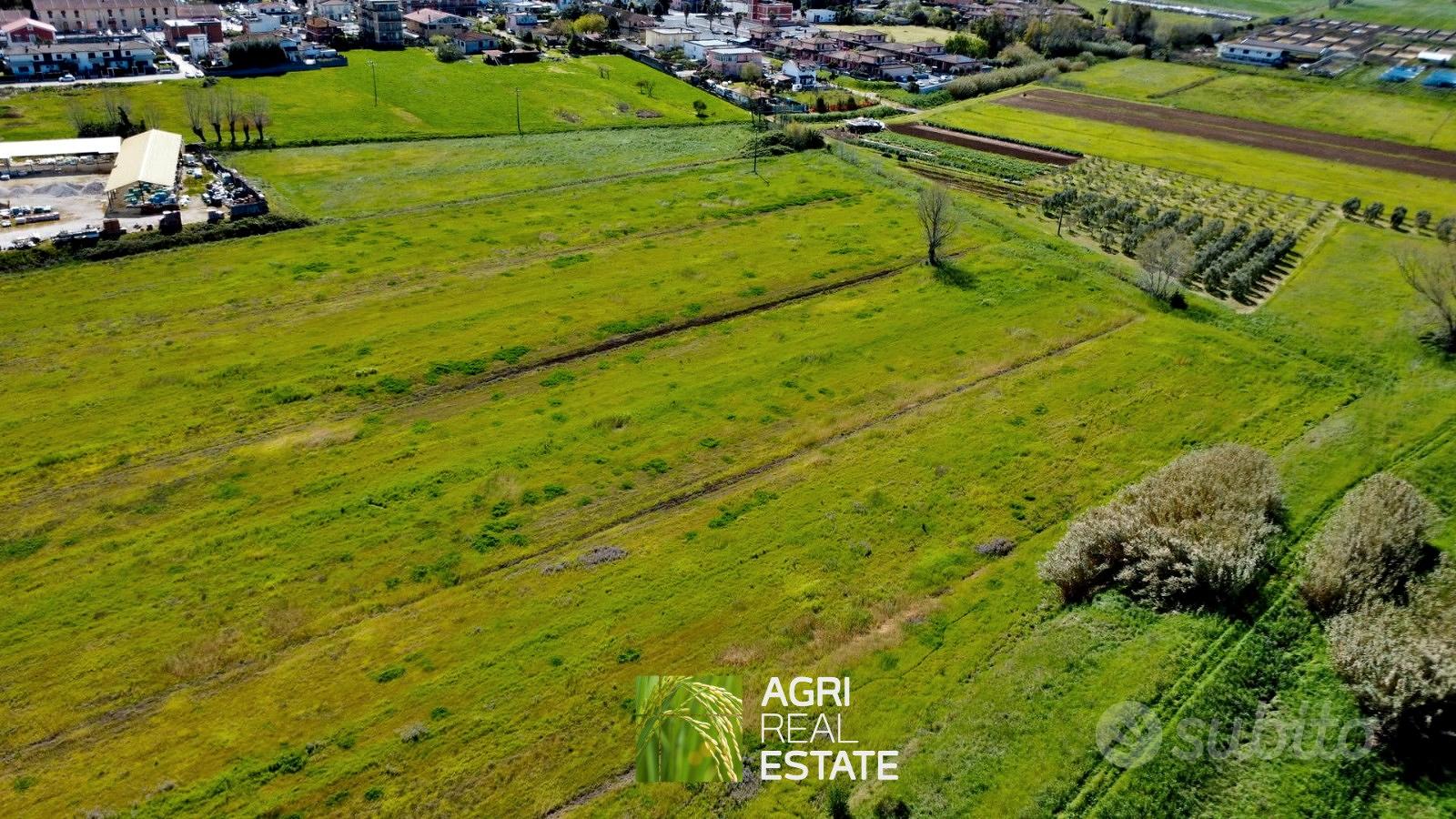 Terreno agricolo di 4 ettari fronte strada - Vista 3