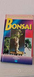 Bonsai