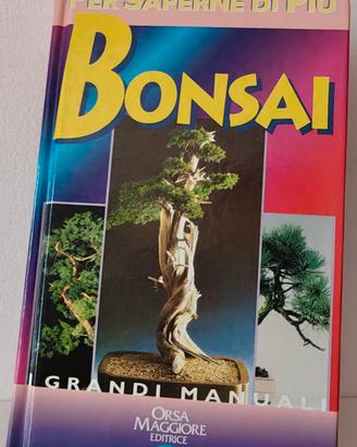 Bonsai