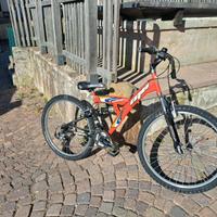 Bicicletta da ragazzo raggio 26