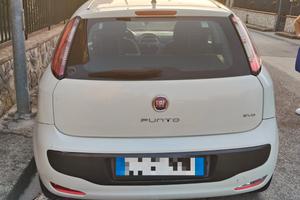 punto evo