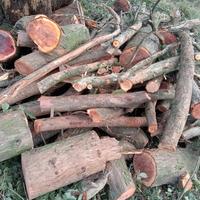 legna verde /secca pezzi o pali