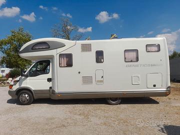 camper Giottiline genetics X700