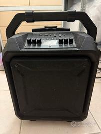 Cassa Amplificata 100w bomaker