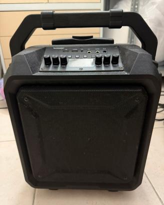 Cassa Amplificata 100w bomaker