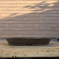 vaso bonsai ovale
