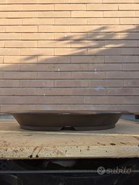 vaso bonsai ovale