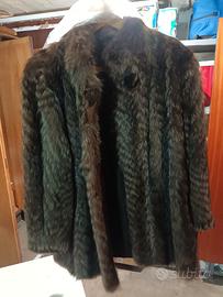 pelliccia MARMOTTA