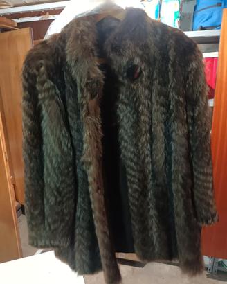 pelliccia MARMOTTA