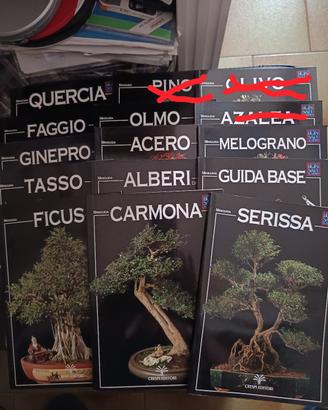 Mini Guide Bonsai Crespi 