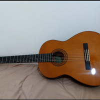 Chitarra acustica
