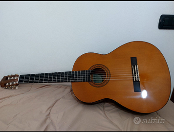 Chitarra acustica