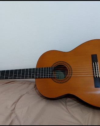 Chitarra acustica