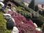Immagine 16
