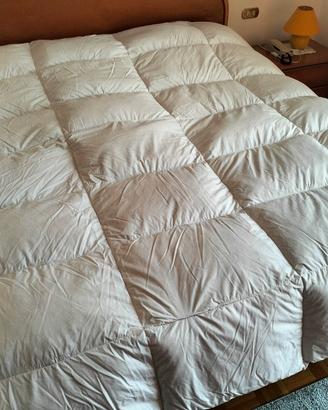 piumone matrimoniale 