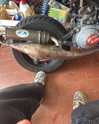 Gianelli zx minarelli orizzontale