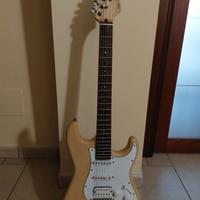 Chitarra elettrica Jim Reed