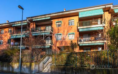 4 LOCALI con CANTINA