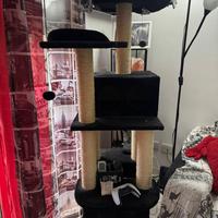 Tiragraffi per gatti