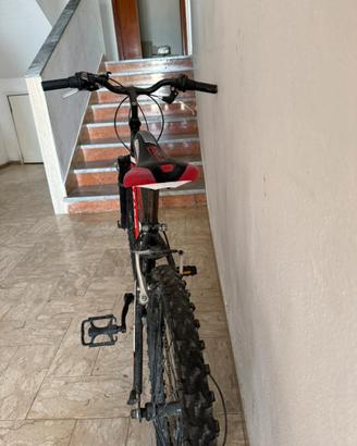 Bicicletta leggi descrizione