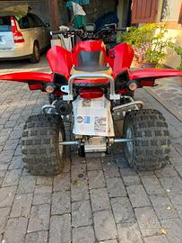 Quad 250 access 250