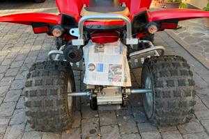Quad 250 access 250