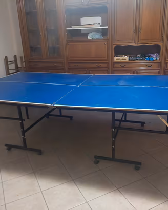 tavolo da ping pong
