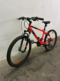 Bicicletta mountain bike