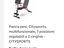 Immagine 5