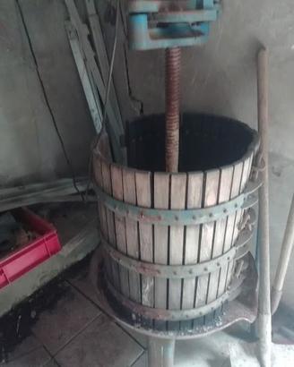 torchio per uva