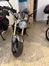 honda-hornet-600