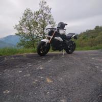 Triumph Speed Triple 1050 - 2011