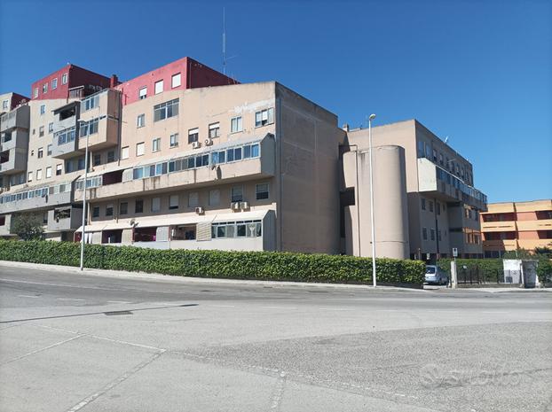 Cagliari Mulinu Becciu quadrivano cantina p. auto