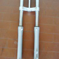 Forcella Marzocchi nuova da trial per Fantic