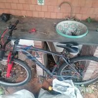 bici itek