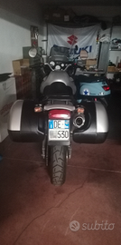 Triumph Tiger 955i - Tratt/Permuto