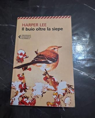 Il Buio Oltre la Siepe