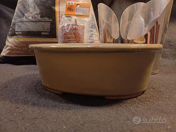 Vaso per bonsai in gres smaltato