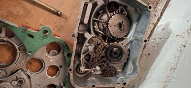 pit bike 125 140 yx kx vedo tutto insieme 