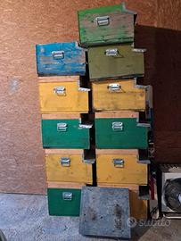 Arnie in legno 10 favi